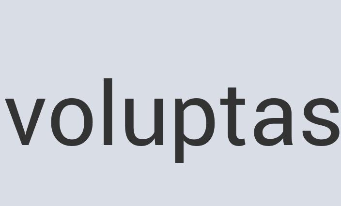 Heavy Duty Wooden Fog Blog