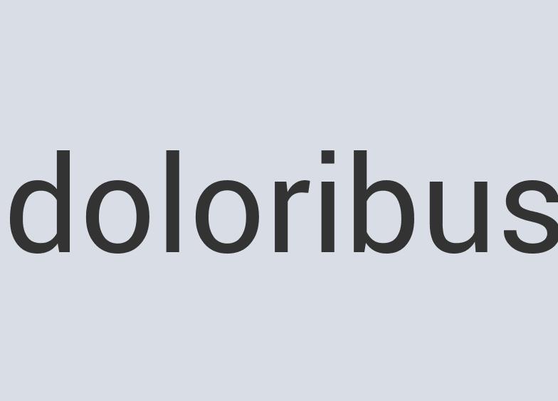 Heavy Duty Plastic Accruex